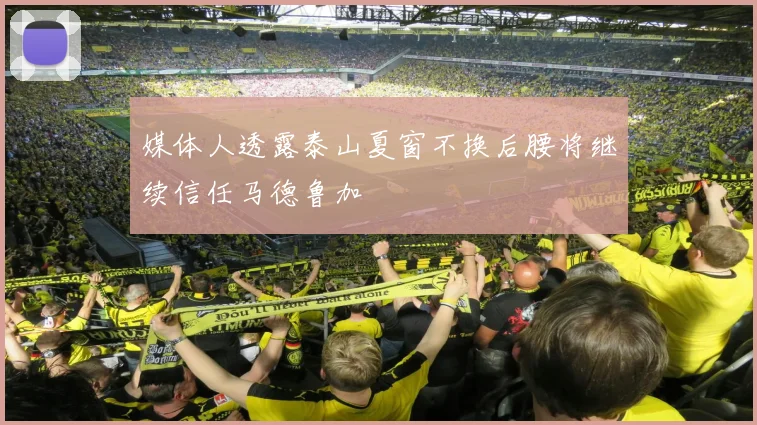 媒体人透露泰山夏窗不换后腰将继续信任马德鲁加